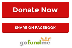 Share on twitter Share on twitter
